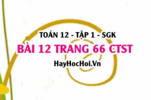 Bài 12 trang 66 Toán 12 tập 1 Chân trời sáng tạo: Tọa Độ Điểm & Độ Dài Đoạn Thẳng